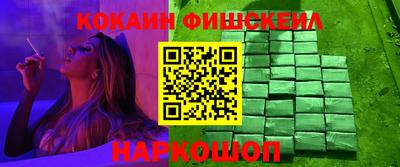 стафф Камышлов