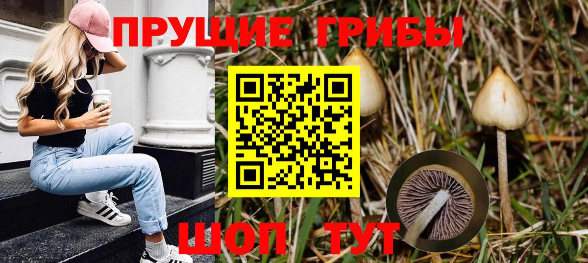 Псилоцибиновые грибы прущие грибы Корсаков