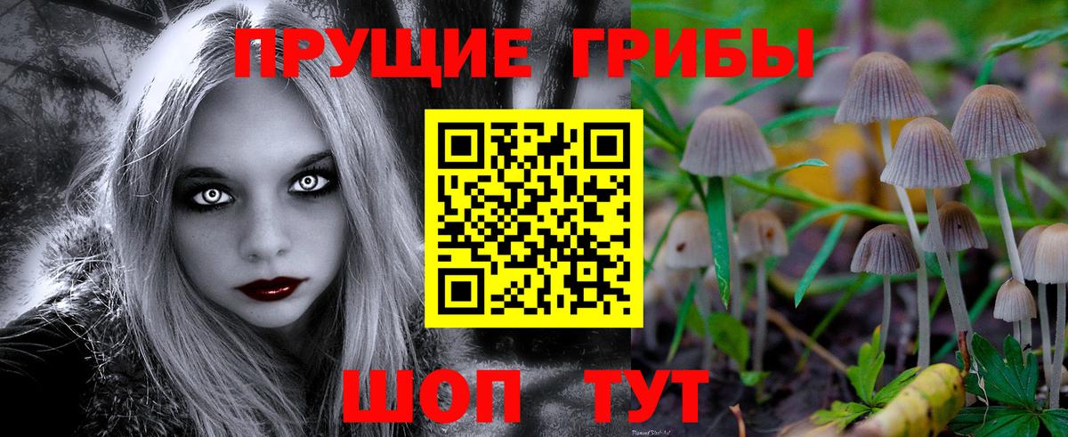 Псилоцибиновые грибы Magic Shrooms  Вход с VPN  Корсаков  Галлюциногенные грибы мухоморы 